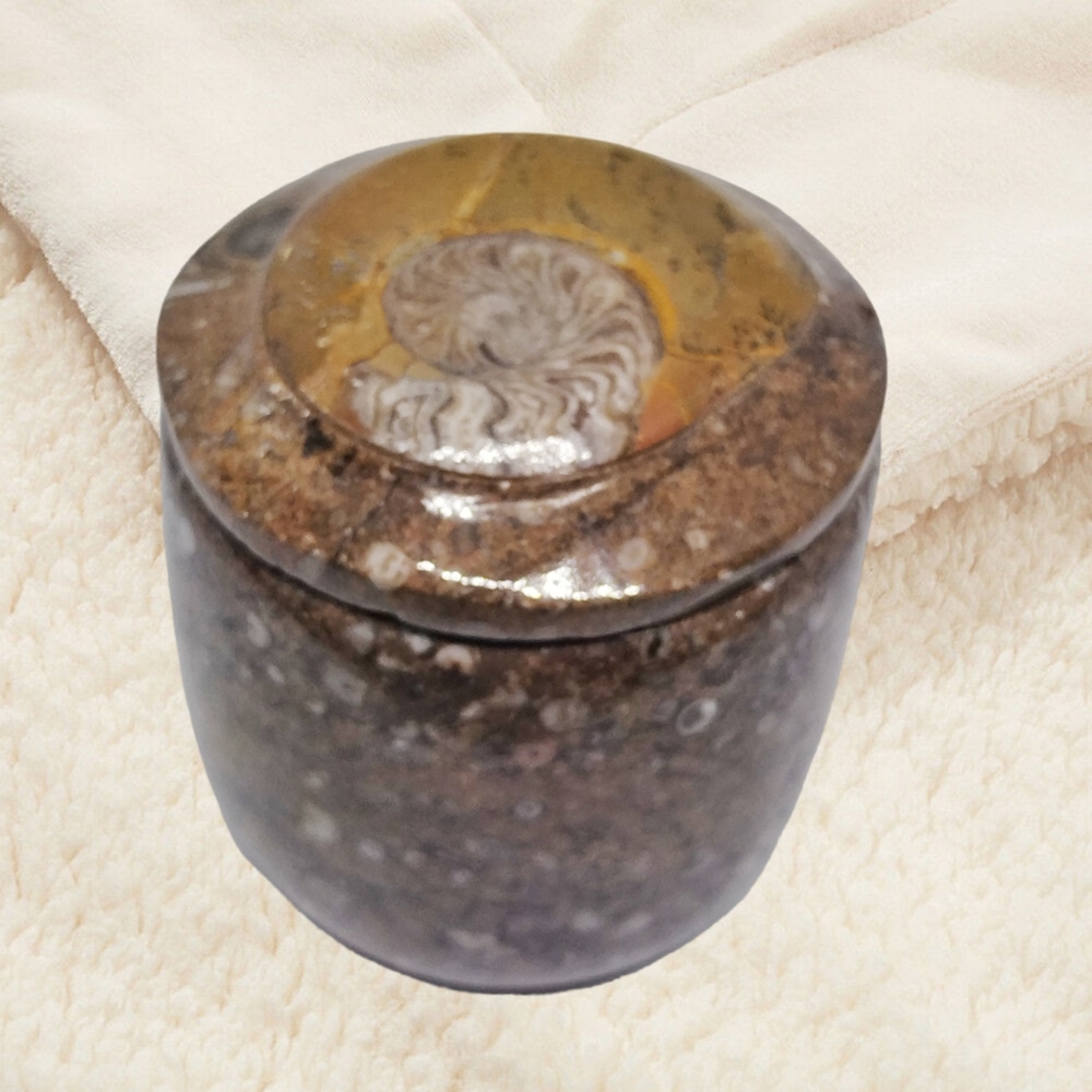 Ammonite Fossil on the Trinket Box's Lid.
